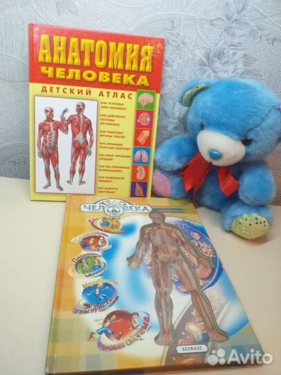 Книги по анатомии человека