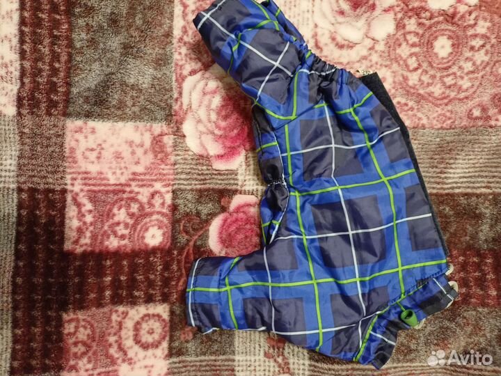 Одежда и обувь для маленькой собачки