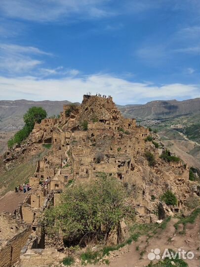 Авторский тур в Дагестан