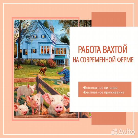 Рабочий жвк Вахта на ферме