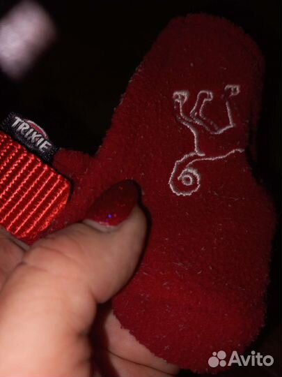 Амуниция для собак весом 1-15 кг кто занимается