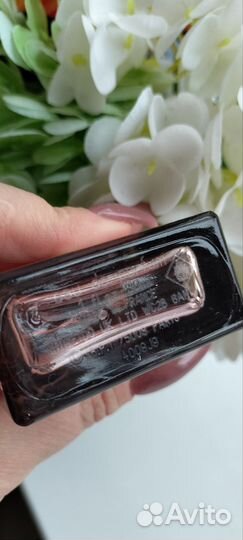 Нарциссо родригес