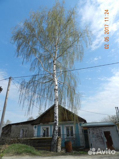 Спил деревьев, вырубка, корчёвка, расчистка полей