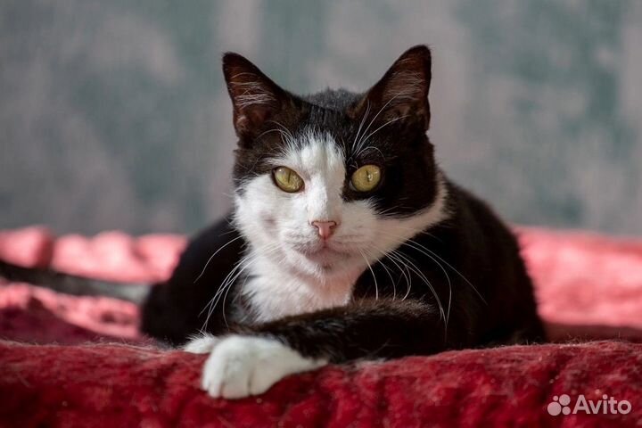 Дед мороз попал в приют