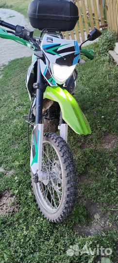 Рейсер пантера