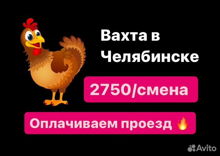 Разнорабочие вахтой.Оплата проезда