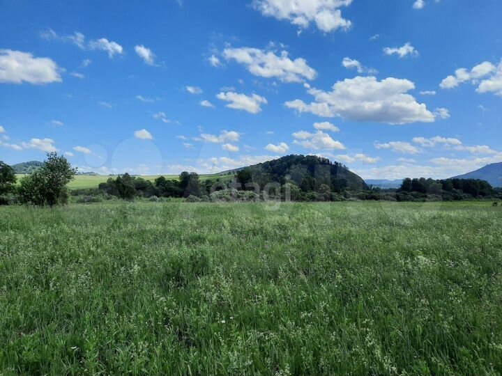 Участок 5,2 га (СНТ, ДНП)