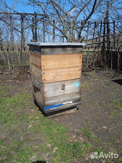 Продам ульи