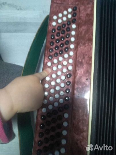 Баян юность