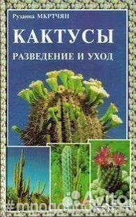 Кактусы: разведение и уход