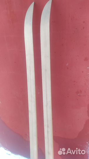 Беговые лыжи