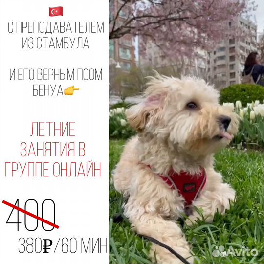 Онлайн-группы с педагогом из Сеула (10 языков)