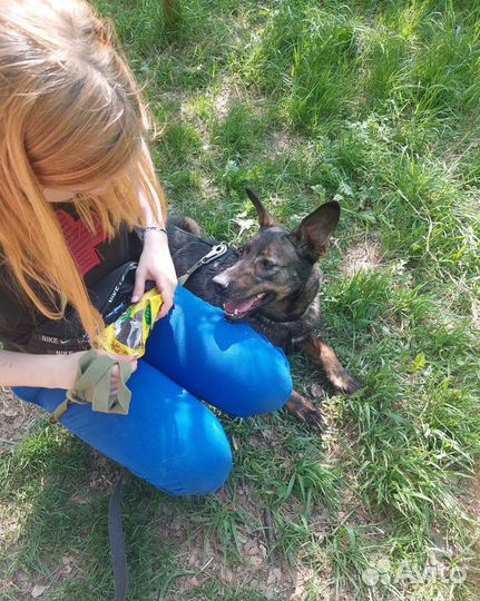 Феня хочет гулять