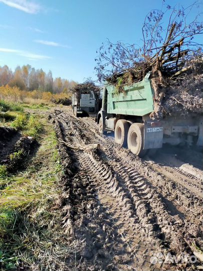 Услуги и аренда спецтехники