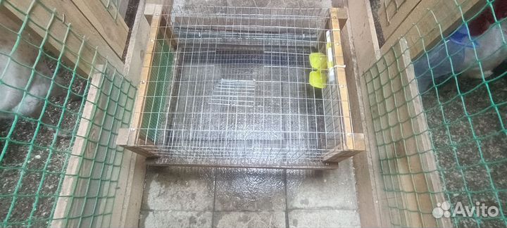 Клетки для перепелов бу