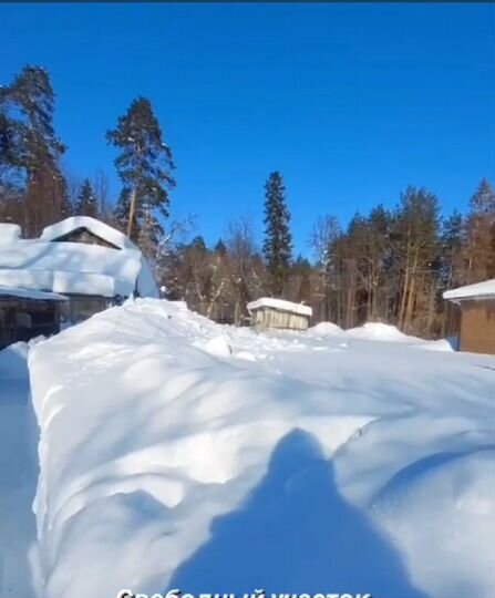 Участок 6 сот. (ИЖС)