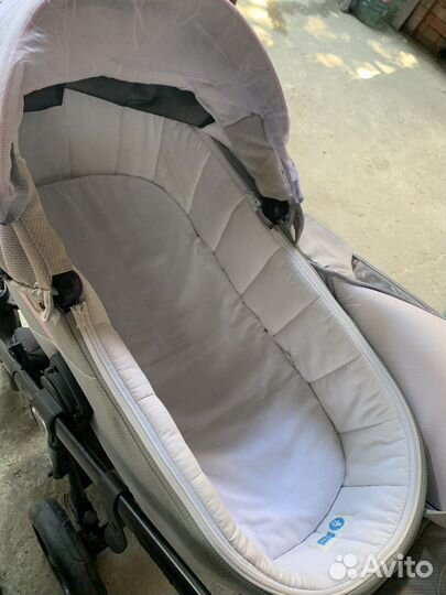 Коляска 2 в 1 adamex cortina