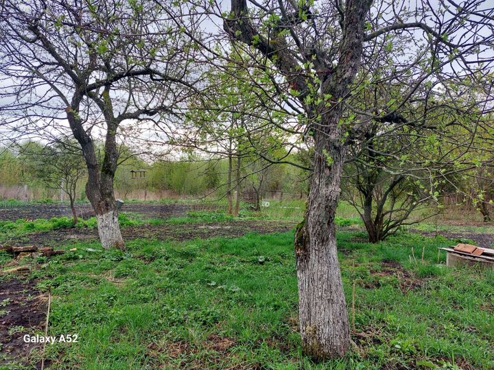 Дом 20 м² на участке 15 сот.