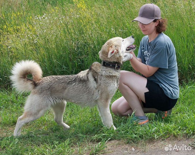 Радушка