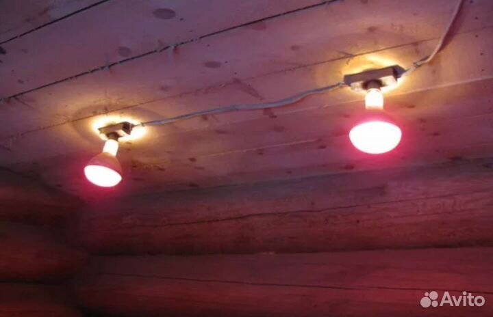 Инфракрасная лампа для обогрева домашней птицы