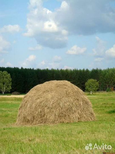 Сено, солома в мешках