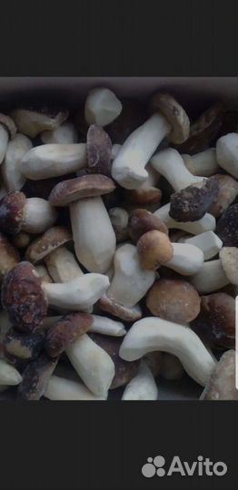 Гриб белый замороженный