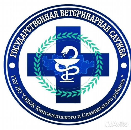 Ветеринарный врач