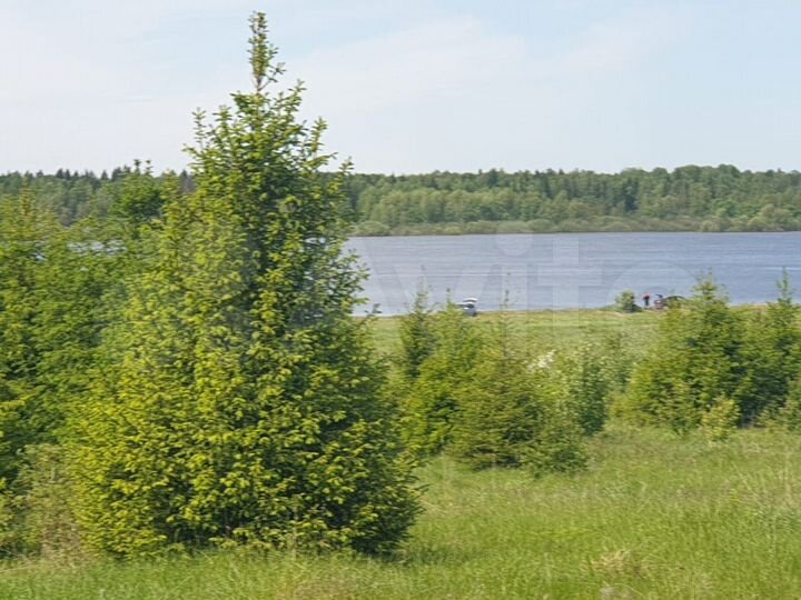 Участок 15 га (СНТ, ДНП)