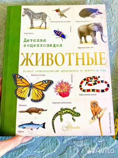 Новые детские энциклопедии