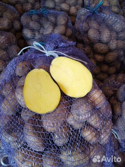 Продам картофель домашний