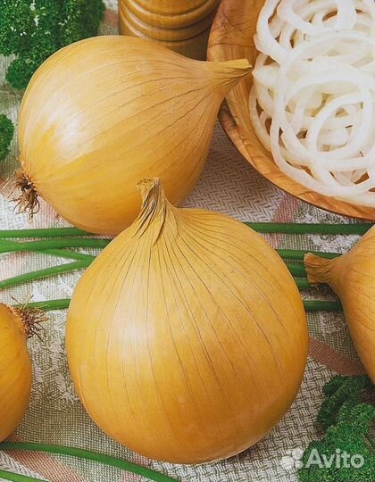 Лук репчатый Эксибишен (Bejo Zaden) 0,5 г. цв.п