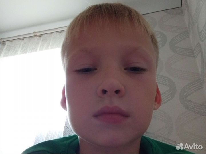 Работа выгул собак