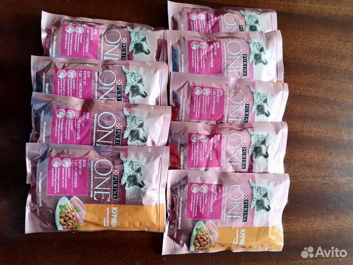 Влажный корм для котят