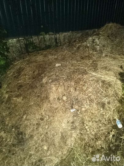 Навоз перегной конский