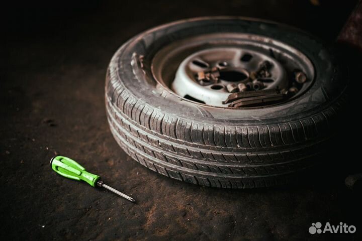 Автоэлектрик с выездом с 11 до 56894