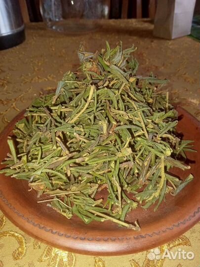 Саган - Дайля(Рододендрон Адамс)