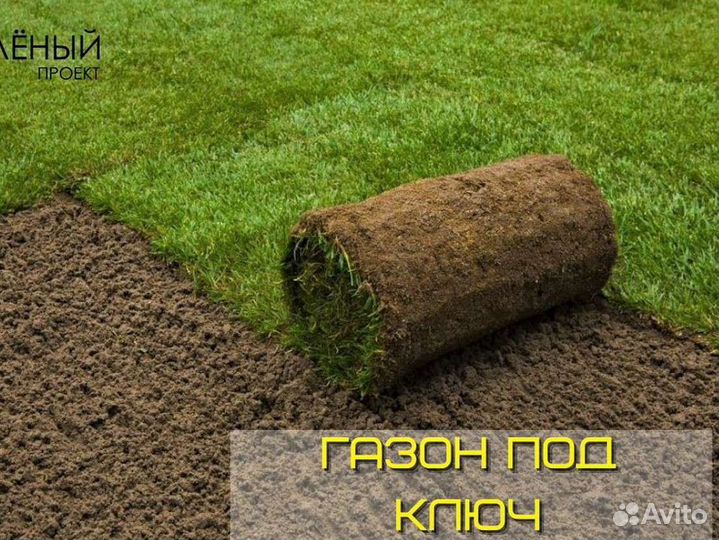 Системы автополива растений