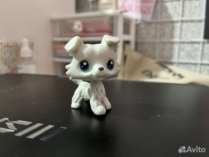 Littlest pet shop