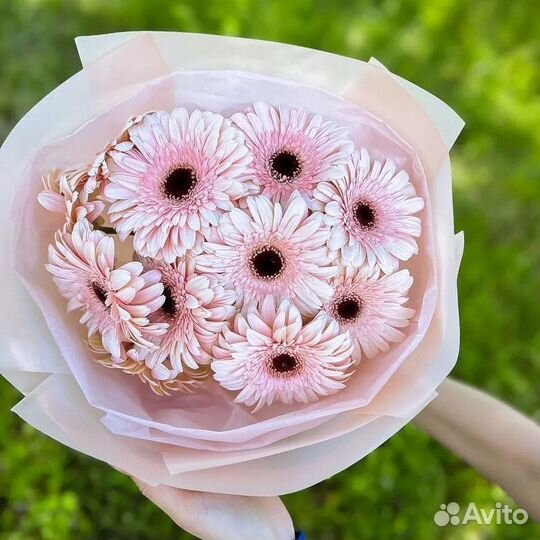 Розовые Герберы. Цветы на Любой Повод