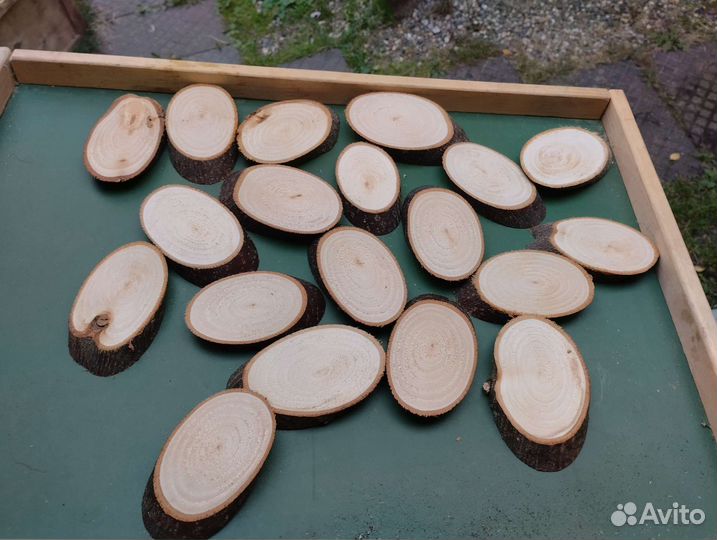 Спилы дерева