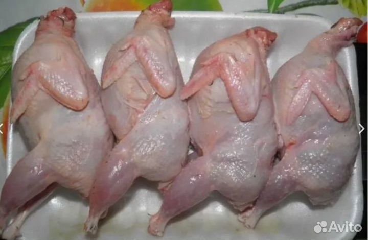 Николаевские перепела, мясо перепелов