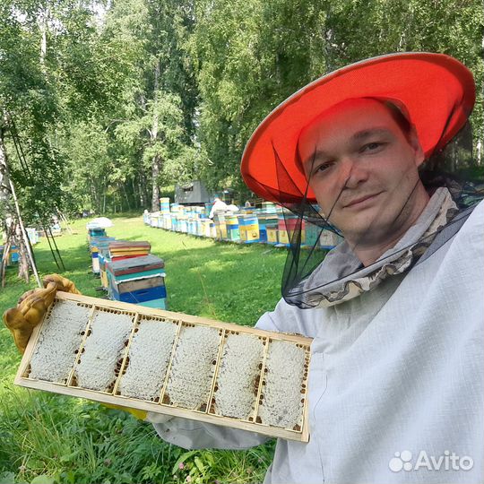Сотовый мёд в мини-рамках (сбор 2023)