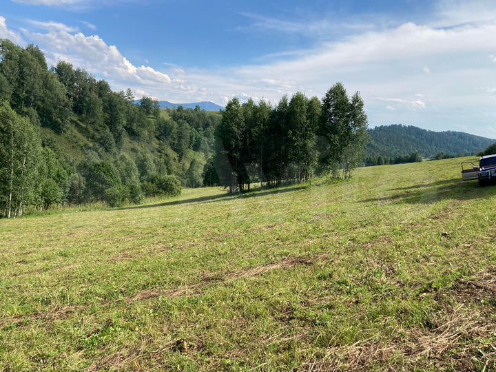 Участок 1,6 га (СНТ, ДНП)