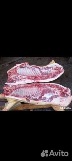Мясо свинина