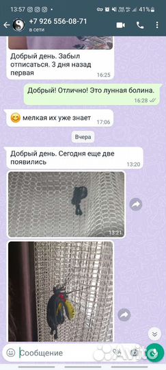 Ферма бабочек