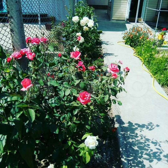 Комната 20 м² в 1-к., 1/1 эт.