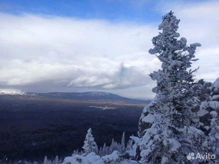 Хребет москаль+фонтан+дом лося+обед
