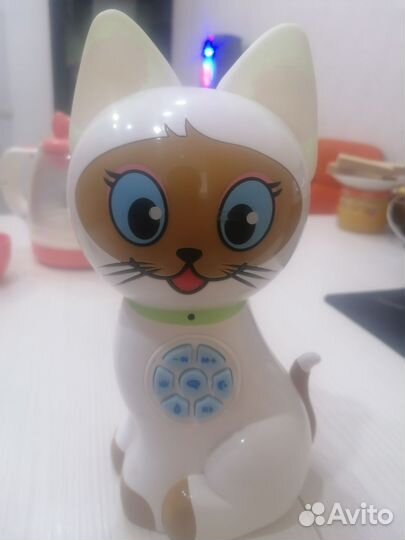 Кот