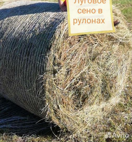 Продам луговое сено в рулонах