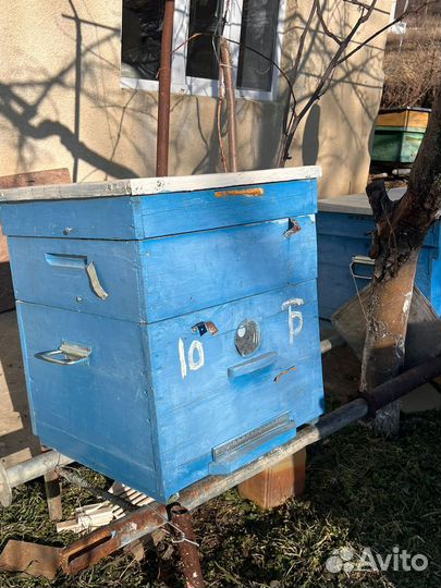 Продаются домики для пчел